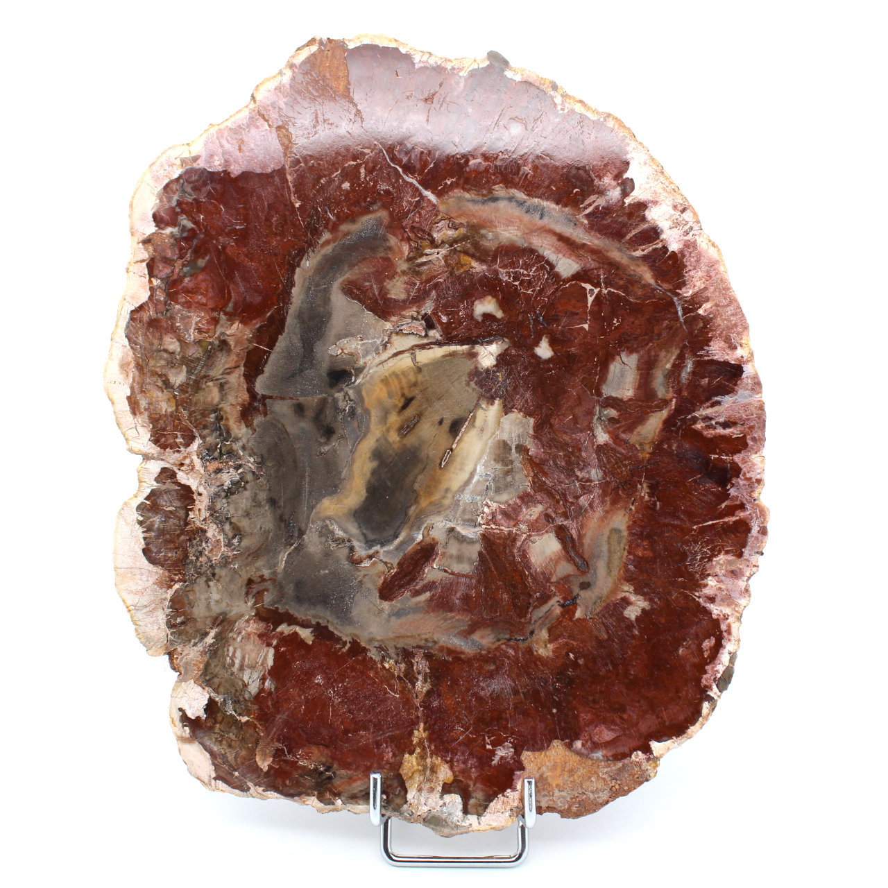 Madera natural petrificada