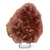 Madera pulida fosilizada de Madagascar - 0