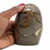Piedra pulida en septaria - 0