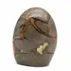 Piedra pulida en septaria - 3
