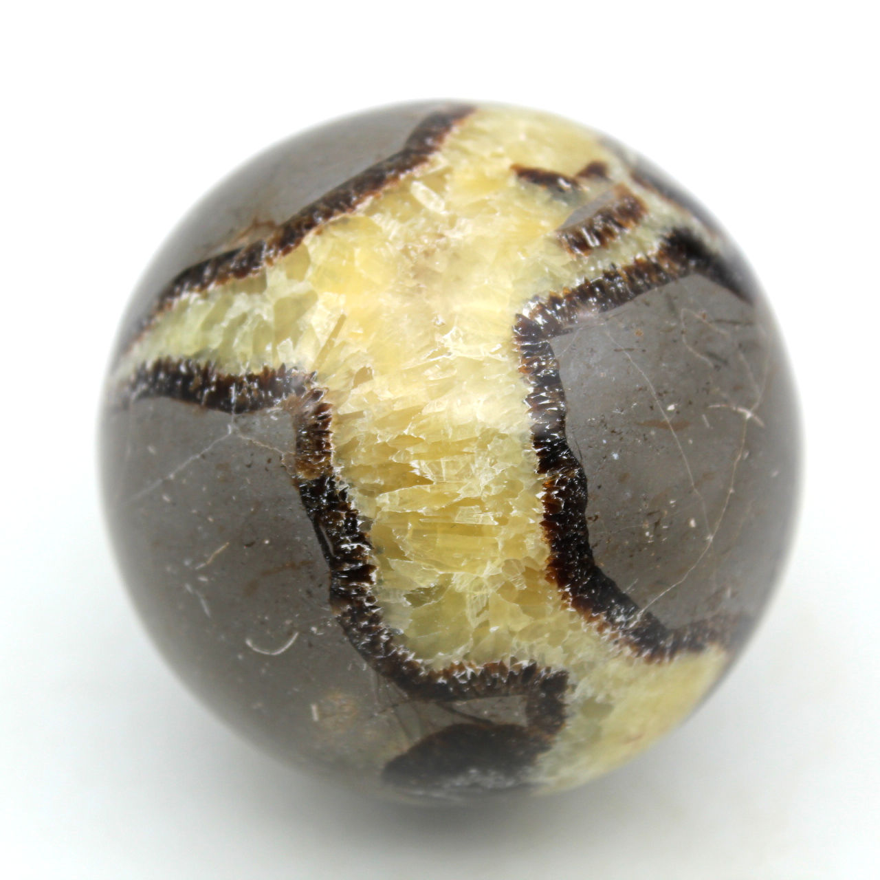 Esfera en septaria