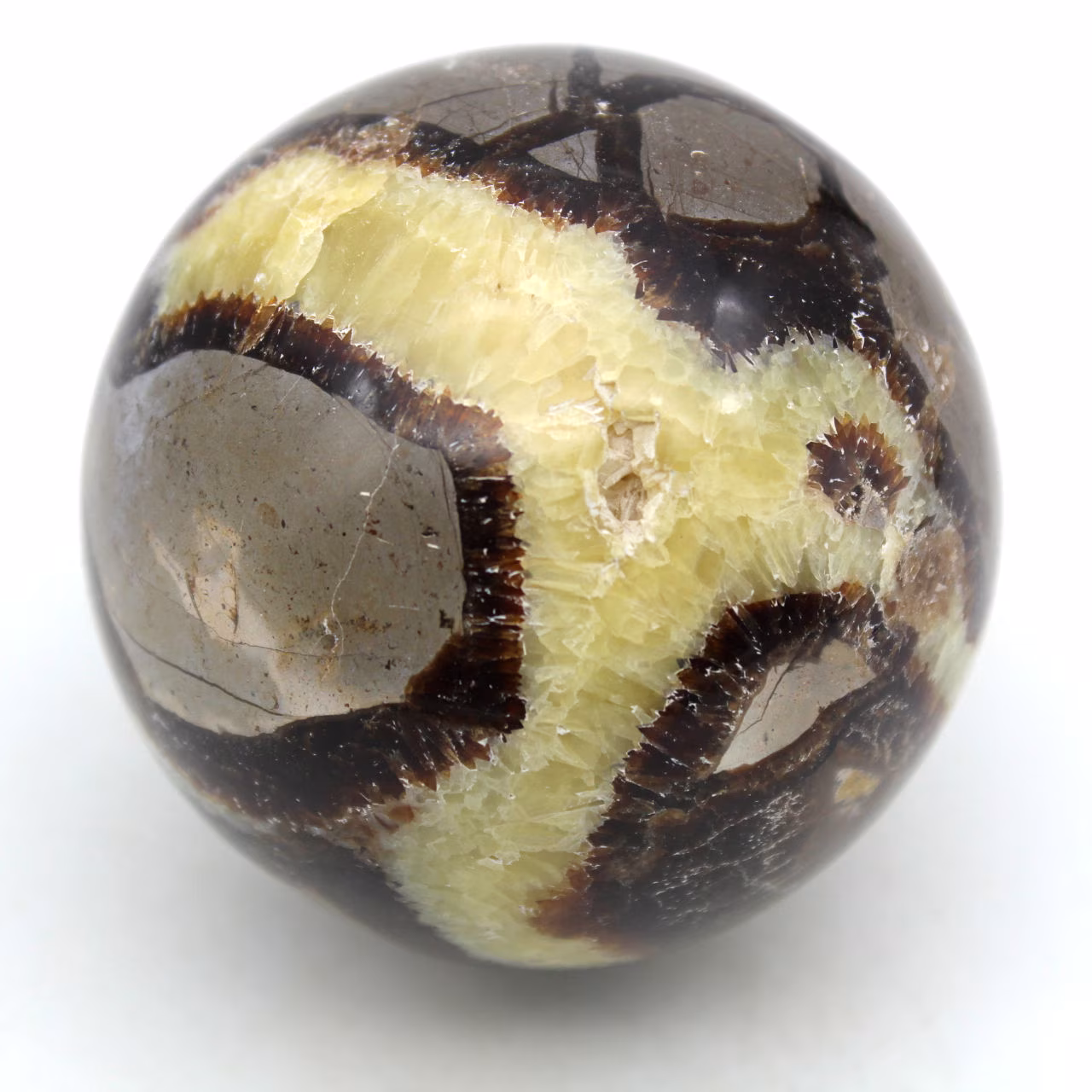 Esfera en septaria