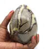 Huevo mineral en septaria - 0