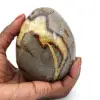 Huevo mineral en septaria - 0