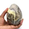 Huevo mineral en septaria - 0