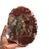 Madera pulida fosilizada de madagascar - 0