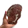 Rebanada de madera silicificada de madagascar - 0