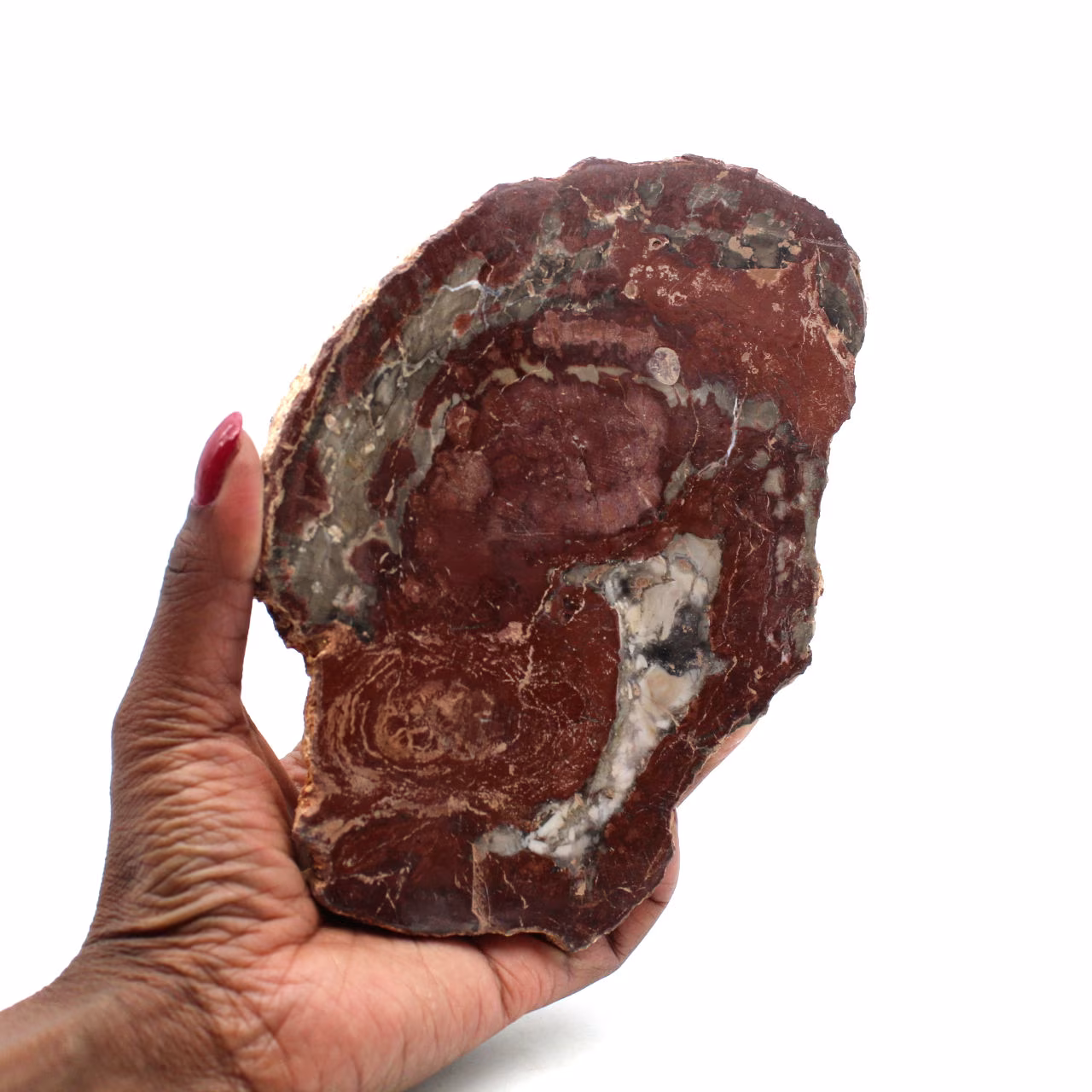 Rebanada de madera silicificada de madagascar