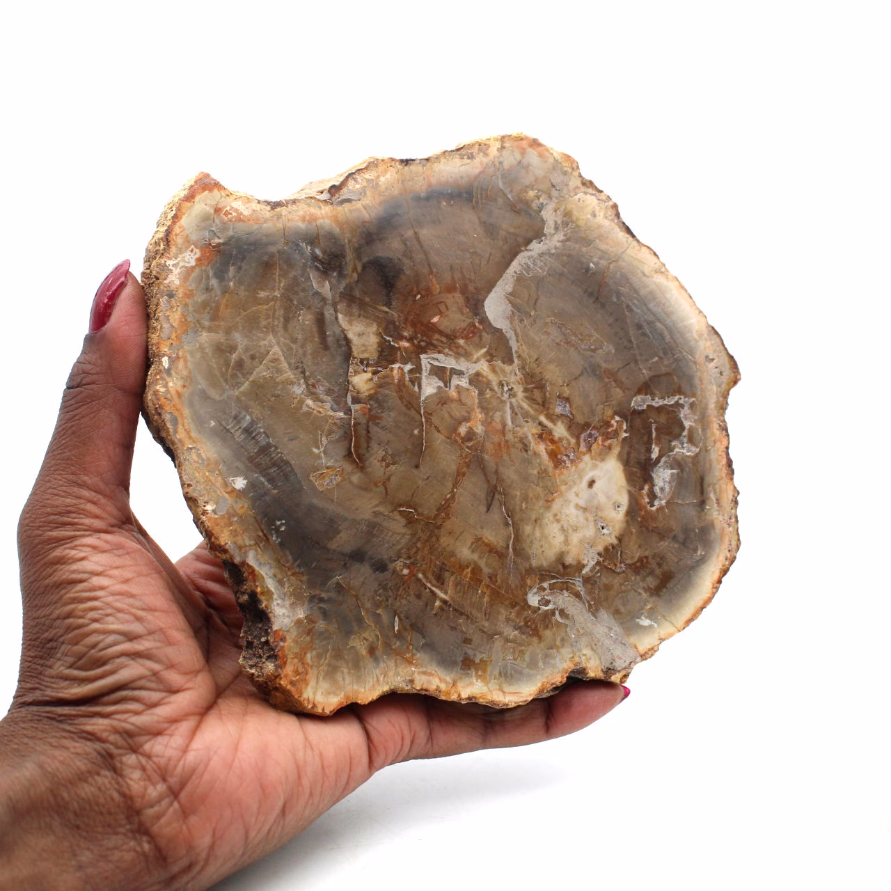 Madera petrificada de madagascar