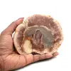 Rebanada de madera silicificada de madagascar - 0