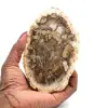 Madera petrificada de madagascar - 0