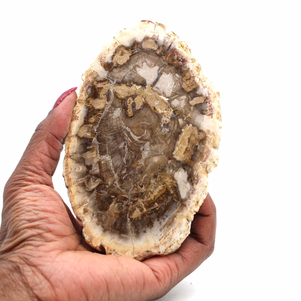 Madera petrificada de madagascar