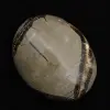 Guijarros de septaria - 2