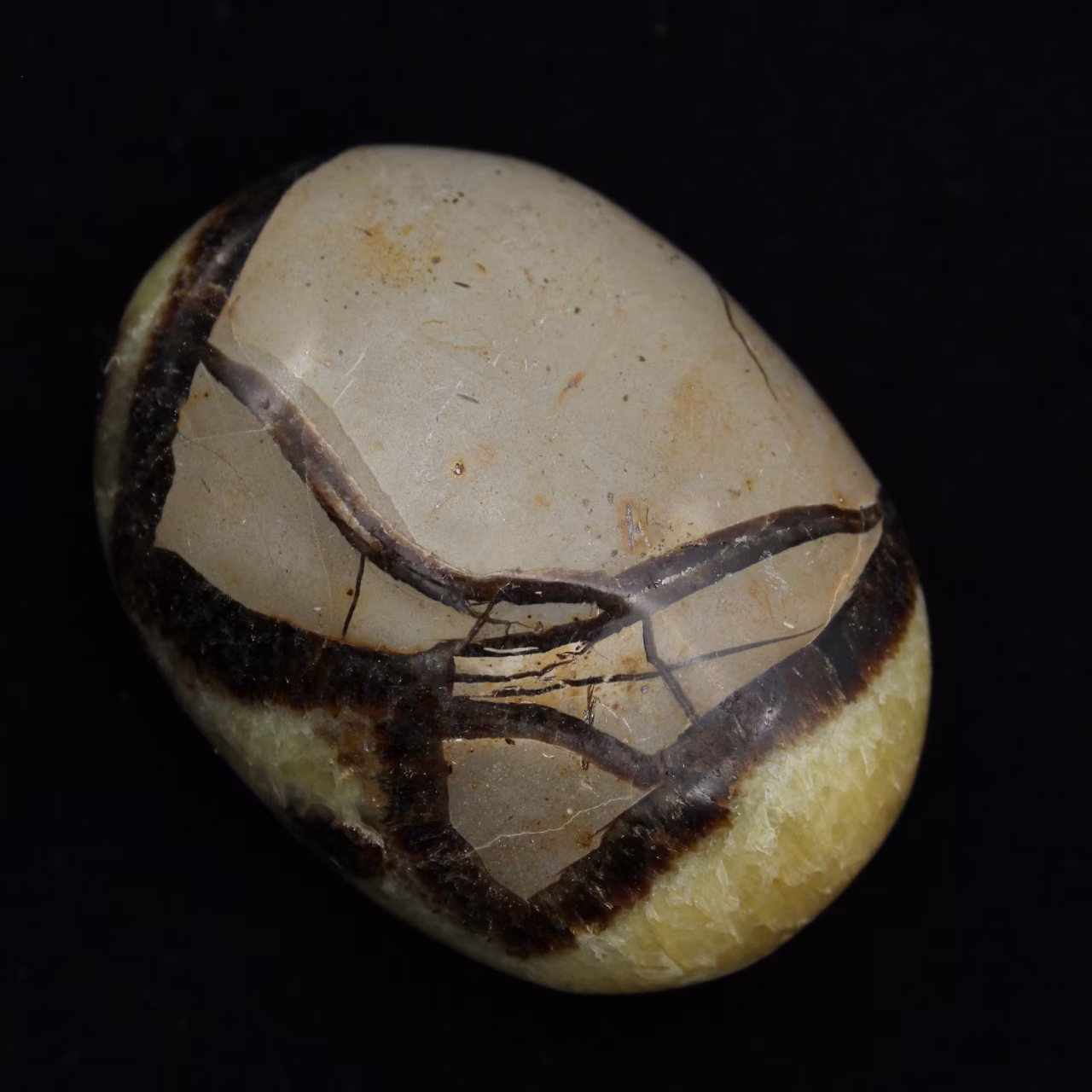 Guijarros de septaria