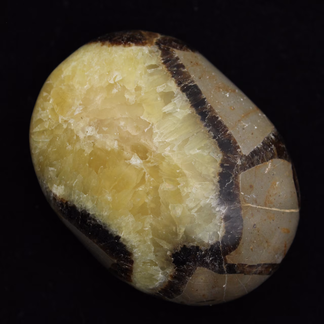 Guijarros de septaria