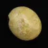 Guijarros de septaria - 0