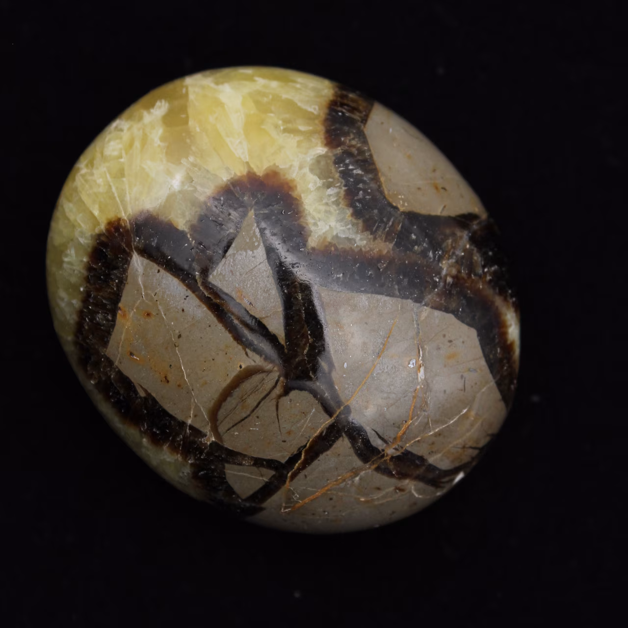 Guijarros de septaria