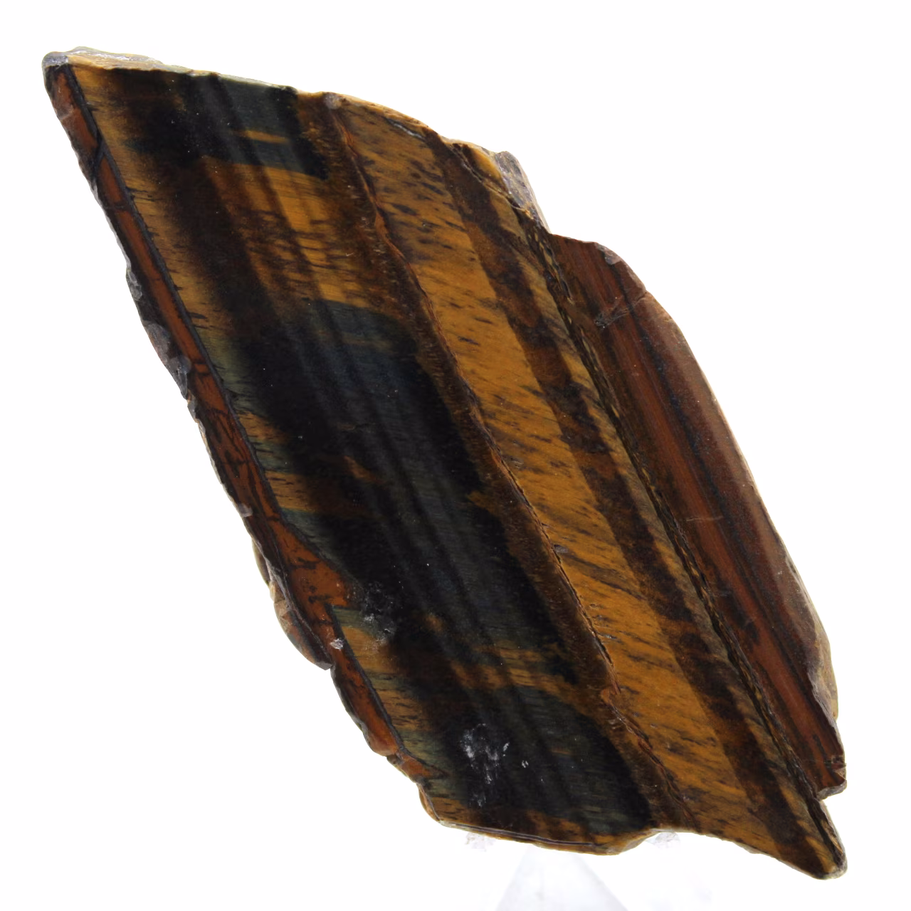 Ojo de tigre sudafricano
