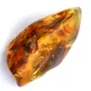 Espécimen de ámbar - 0