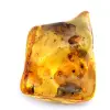 Ámbar - 1