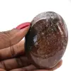 Guijarro jaspe orbicular - 1