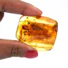 Ámbar amarillo - 0