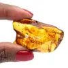 Ámbar - 0