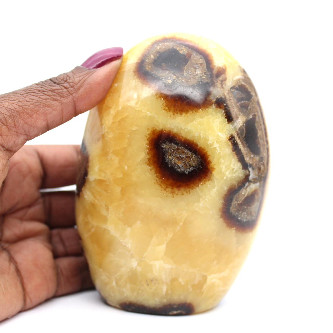 Piedra septaria pulida de madagascar