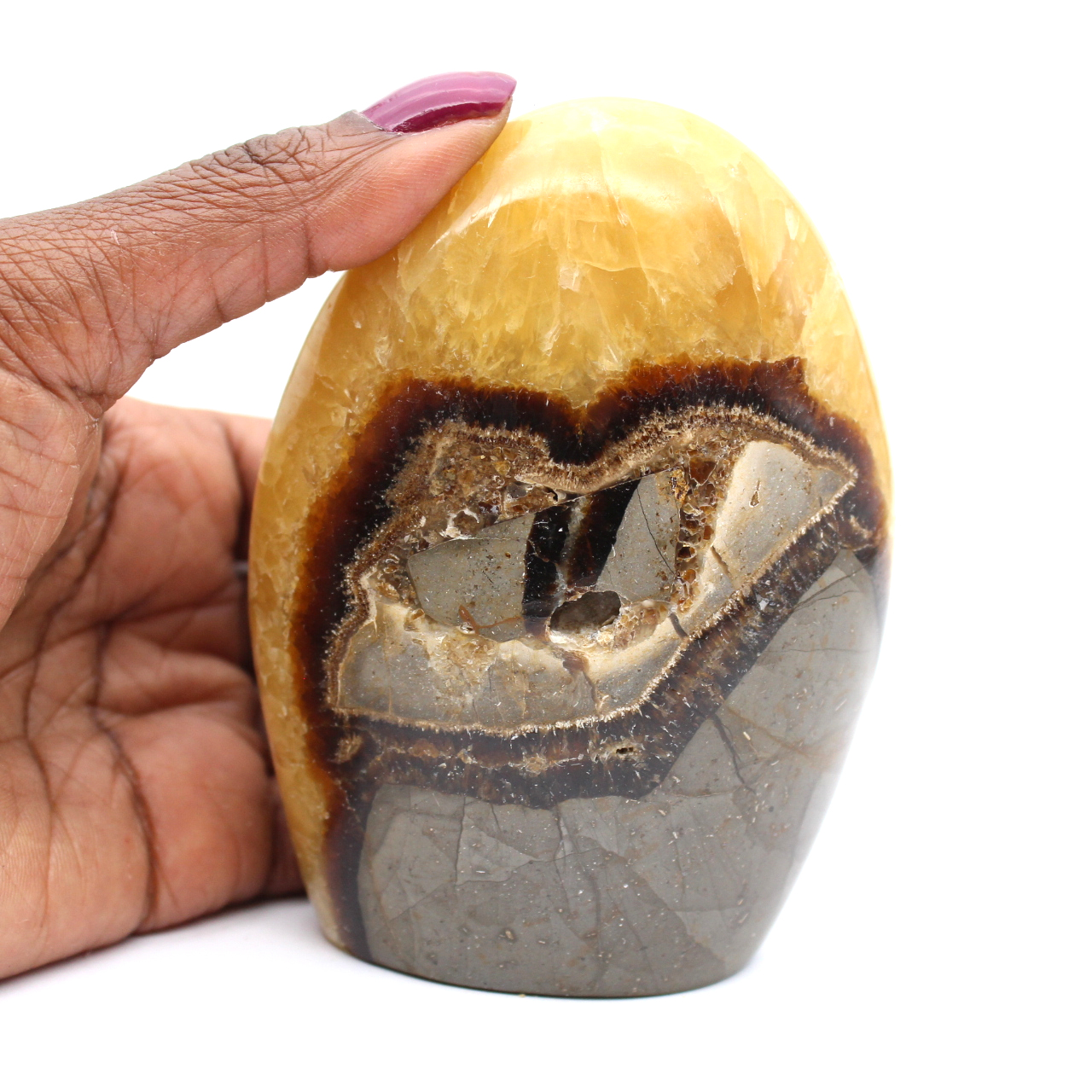 Piedra septaria pulida