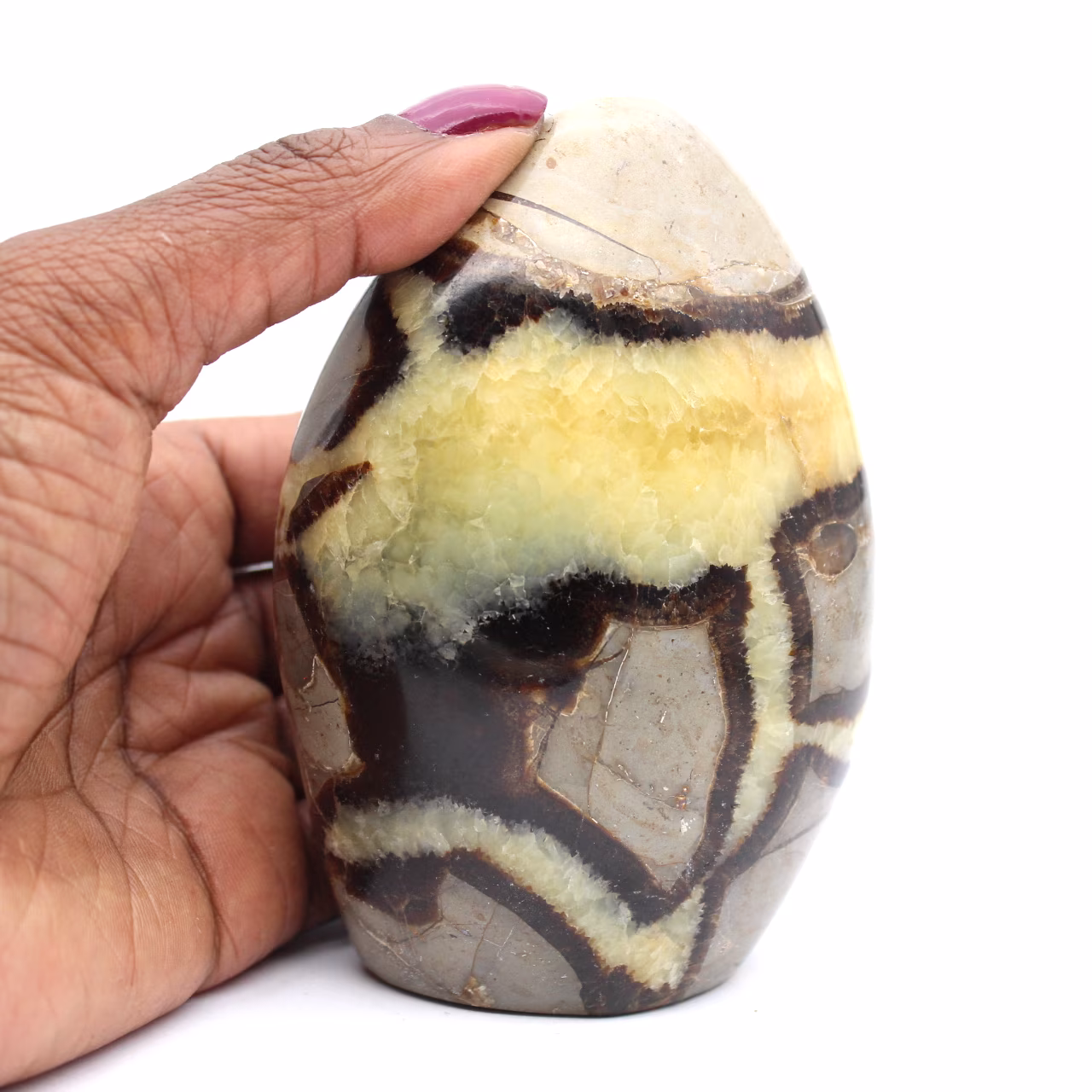Piedra septaria pulida