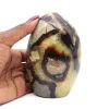 Septaria pulida de forma libre - 0