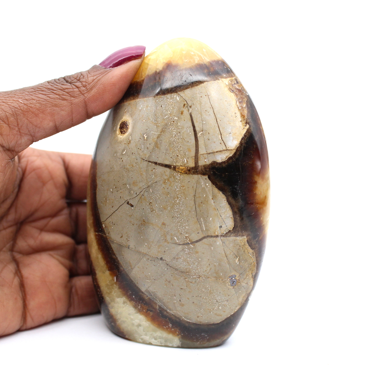 Piedra decorativa en septaria pulida