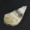 jaspe cebra - 2