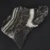 jaspe cebra - 2