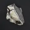 jaspe cebra - 2