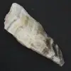 Piedra Jaspe Cebra - 2