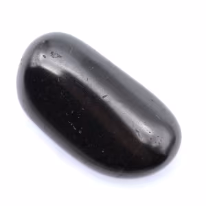 Shungite ornamental