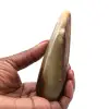 Bastón de calcita - 1