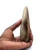 Bastón de calcita - 0