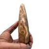 Bastón de calcita - 0