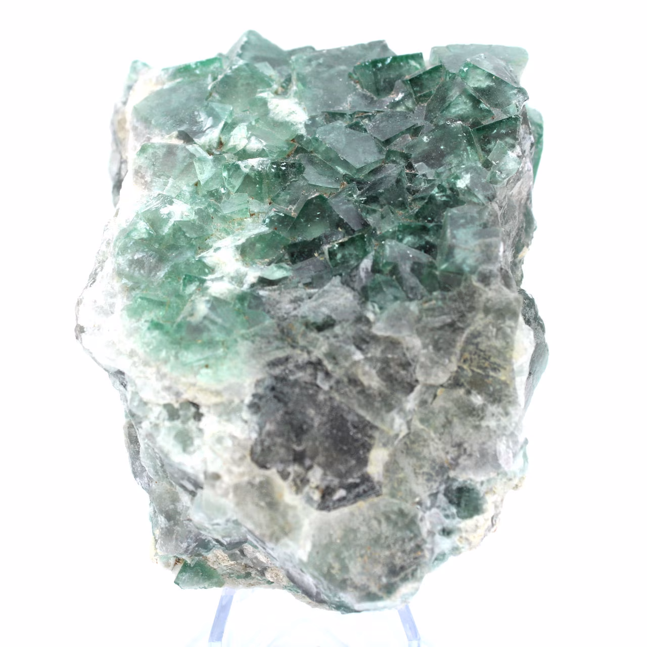 Cristales cúbicos de fluorita en ganga.