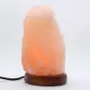 sal del himalaya - 0