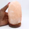 sal del himalaya - 2