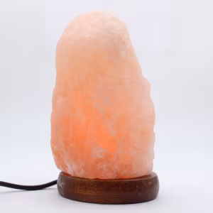 sal del himalaya