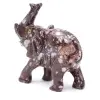 Elefante - 2