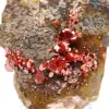 Cristales de vanadinita en ganges - 0