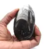 Ortoceras - 0