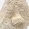 Diente de tiburón otodus fósil - 1