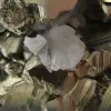 Grandes cristales de pirita con calcita. - 10