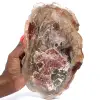 Madera petrificada pulida de Madagascar - 0